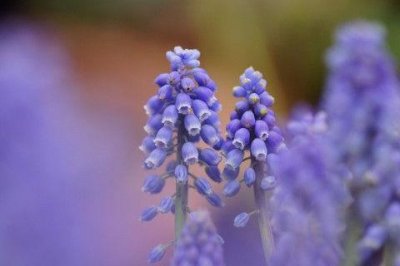 ​跨年夜发朋友圈的句子 关于跨年的唯美句子(精选40条)