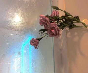 ​郑渊洁经典语录大全