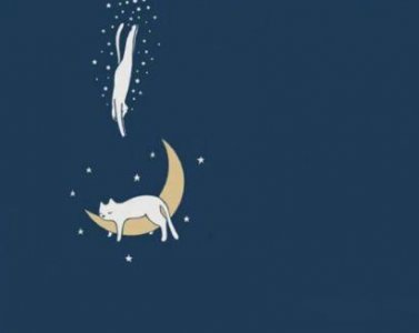 ​感谢护士的经典语句推荐44句