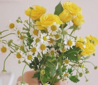 ​感情心累的经典语录 对感情的态度经典语录