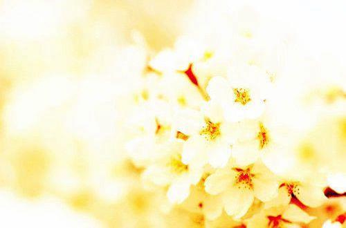 电脑屏保美文 锁屏签名一句话唯美