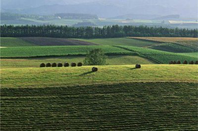 ​有关小丑的文案(44句)