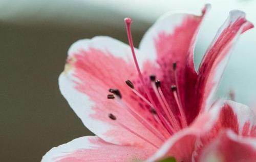 早上正能量问好