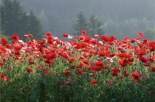 酒后伤心的句子（精选50句）
