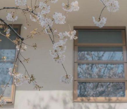 赞美雪的有意境的句子