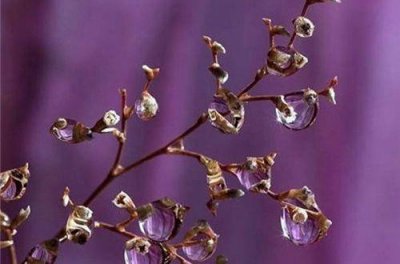 ​表达对事失望的句子(16句)