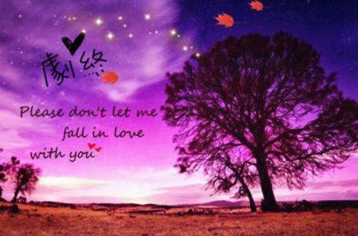 ​纪念男女友情的句子14句