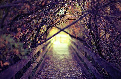 男朋友希望我开心的句子