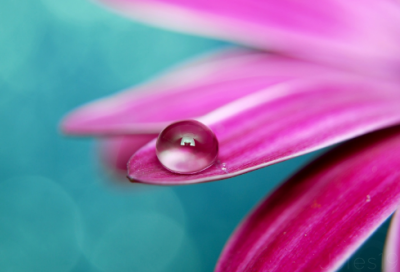 ​带时子的网名大全男士