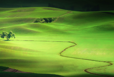 ​带日落的网名女孩名字大全
