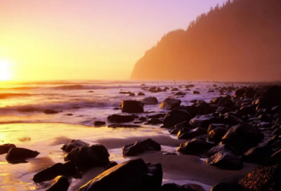 ​关于带丫头的网名大全