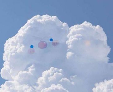 ​浪漫情话短句(100句)