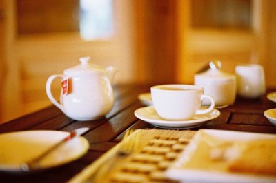 ​保护动物谚语英文