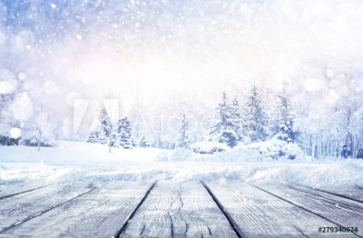 ​描写雪的句子 一句简短的雪景句子