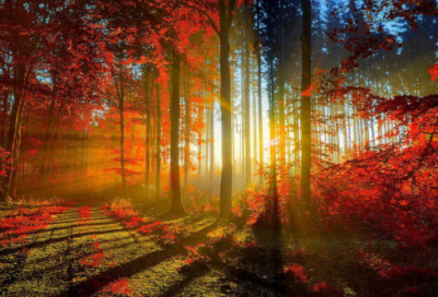 ​关于女生有气质成熟的说说