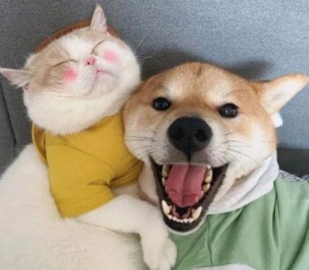 ​关于面具的话80句