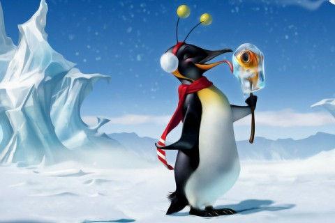 志愿者的优美句子