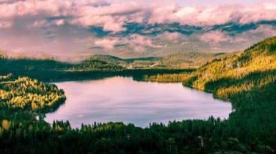 ​描写母爱的抒情句子97句