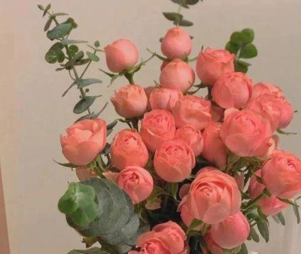 2025年简短的人生哲理句子集锦75条