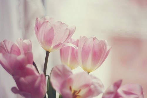 关于幸福的好句子