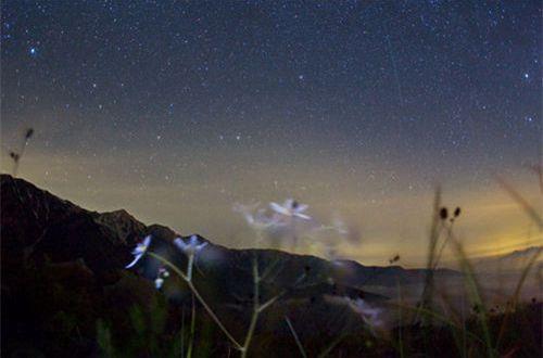 2017年关于正能量的最新句子