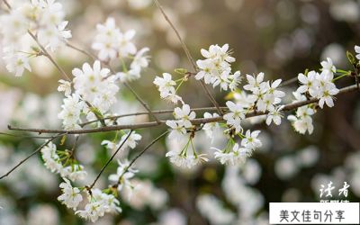 ​秋天爱情浪漫的句子（59句秋天高级浪漫唯美的文案）