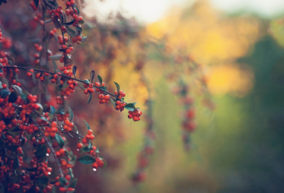 ​关于最感动情人的一句话 对恋人说的最深情的话