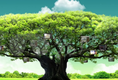 ​祝福语英文新婚祝福(精选84句)