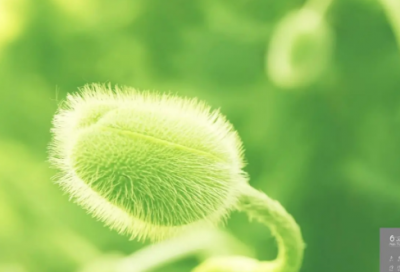 ​晨跑发朋友圈的句子简短(95句)