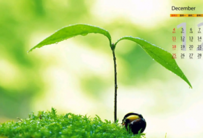 ​适合自己生日感谢父母发的朋友圈(64句)