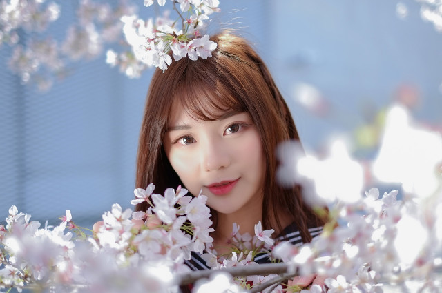 描写春天的优美句子