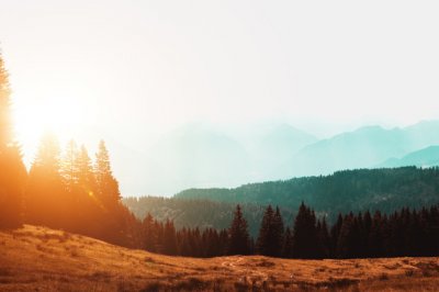 ​搞笑段子短句 搞笑的句子内涵段子