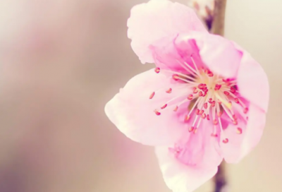 ​关于抖音一句话的简单晚安说说