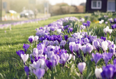 ​关于早晨起床后微信朋友圈说说
