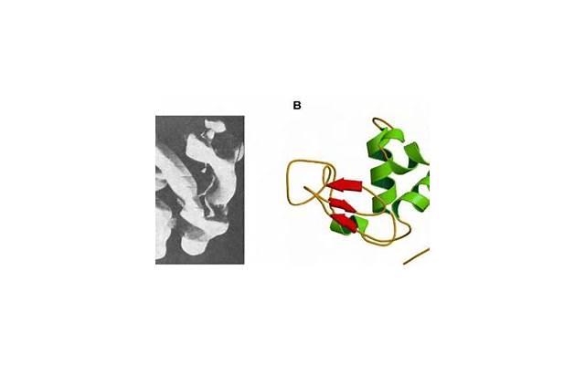 6月发朋友圈的精美句子