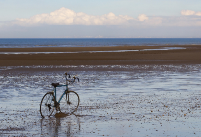 ​养花发朋友圈的精美句子(汇总82句)