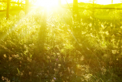 ​关于一句话让别人关注你 最吸引人必评论的说说