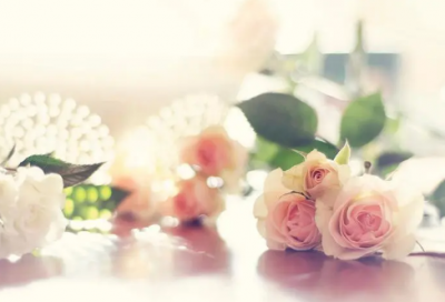 ​朋友圈晒巧克力的语录(优选74句)