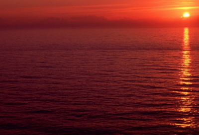 ​红酒怎么配文发朋友圈(84句)