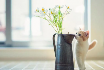 ​一个合格吃货的朋友圈句子(优选80句)