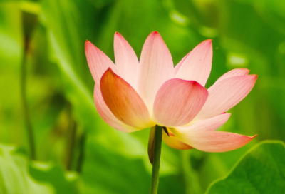 ​关于适合发朋友圈正能量的经典说说