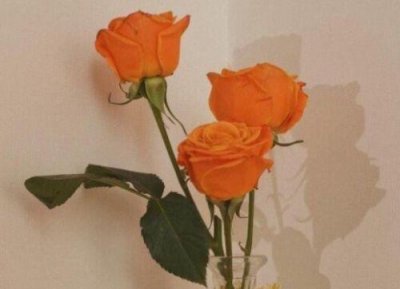 ​描写春天美景的优美句子 描写春天景物的短句子(67句)