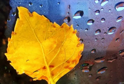 ​关于表达决心的说说 表达决心的句子