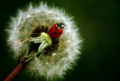 ​心情不好发朋友圈用什么句子(精选66句)