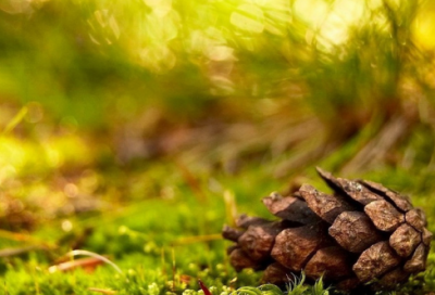 ​深夜发朋友圈的句子