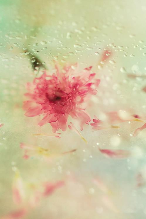 看透男人的经典句子