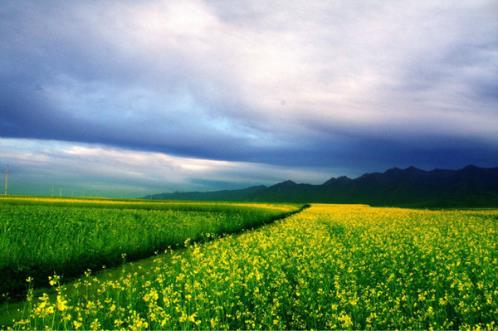 喝酒唱歌说说发朋友圈