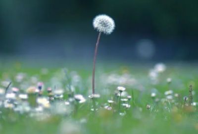 ​关于想念一个人的句子 默默牵挂一个人的说说