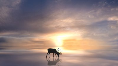 ​励志短句朋友圈 励志的句子经典语句简短