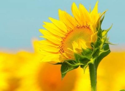 励志的微信昵称